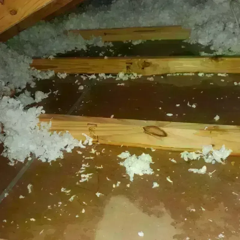 Attic Water Damage in Vinings, GA