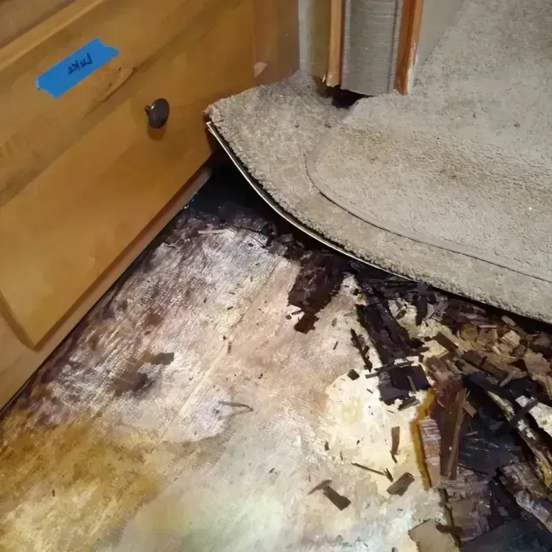 Best Wood Floor Water Damage Service in Vinings, GA